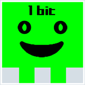 1bit