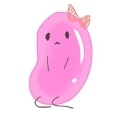 maguneko02