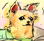 けもじ