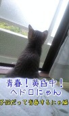 香月火煉