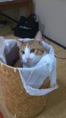 ゆーき
