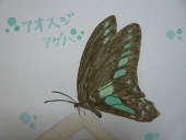 らん