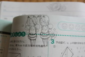 ぼきりん