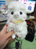 まいまい
