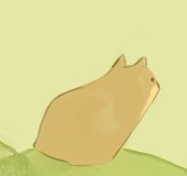 noya