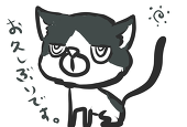 杏