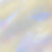 ノア