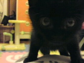 mituba