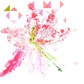 ppdan12