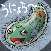 ログ