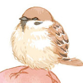 FUKURA