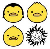ray