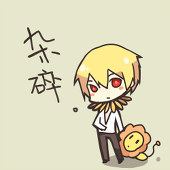 S.A猫