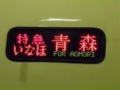 佐々本菫