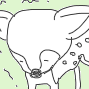 ものしば