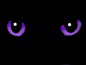 Louis（るい）
