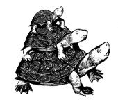 ゼニガメ屋
