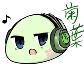 菊葉。