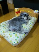 もも