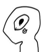 とるちょ
