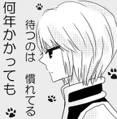 こんの*