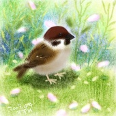 aruru