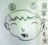 こここここ