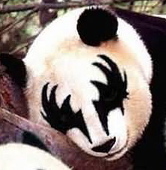 pandacoper