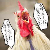 あまみや