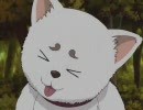いねえもん