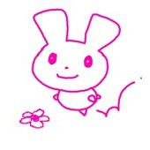靴下ナイト