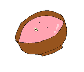 菌