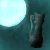 黒猫日和