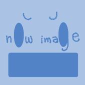 どんぐり