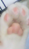 みー