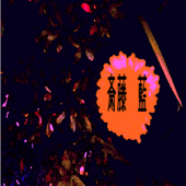 斎藤＿藍