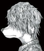 Bucchi