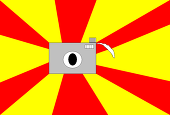 Insect9