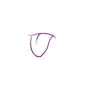 沼田