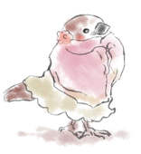 雀しか描けない子