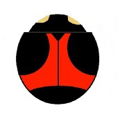 jing-3