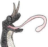 ぐち子öзö