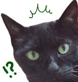 猫髭