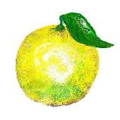 feconi