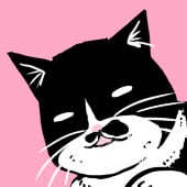 ごねわん