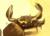 kokotaru