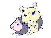 白滝
