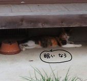 みみずく
