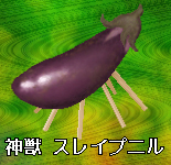なまこっこ