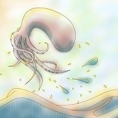 ぱせよ